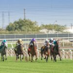 The Thrills of Thoroughbred Racing: What You Need to Know