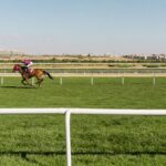 Horse Racing Terms Every Fan Should Know